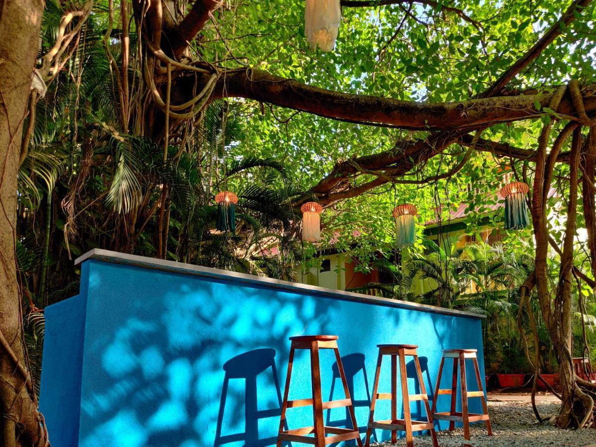 Piggy Calangute By Urban Nomads - Dorms & Pvt Rooms Exterior photo